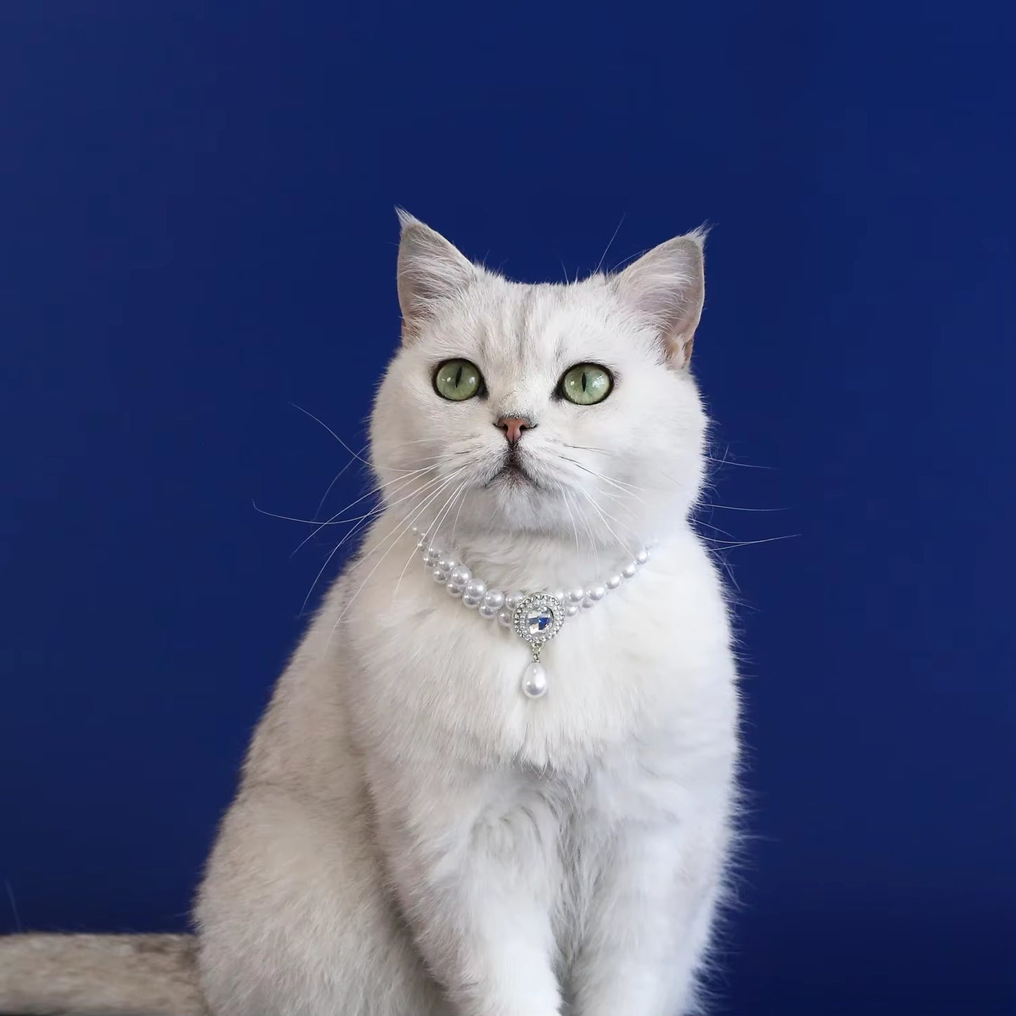 Forever Fancy Pearl Collar